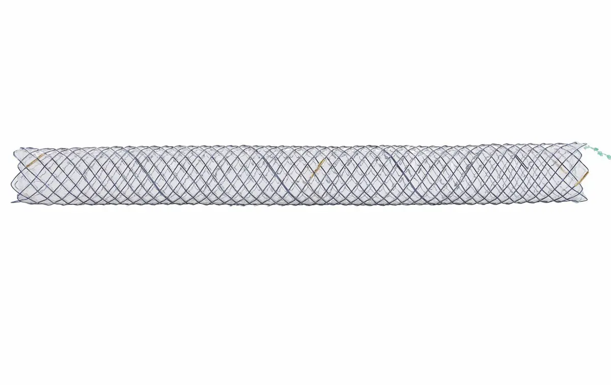 Biliary Stent