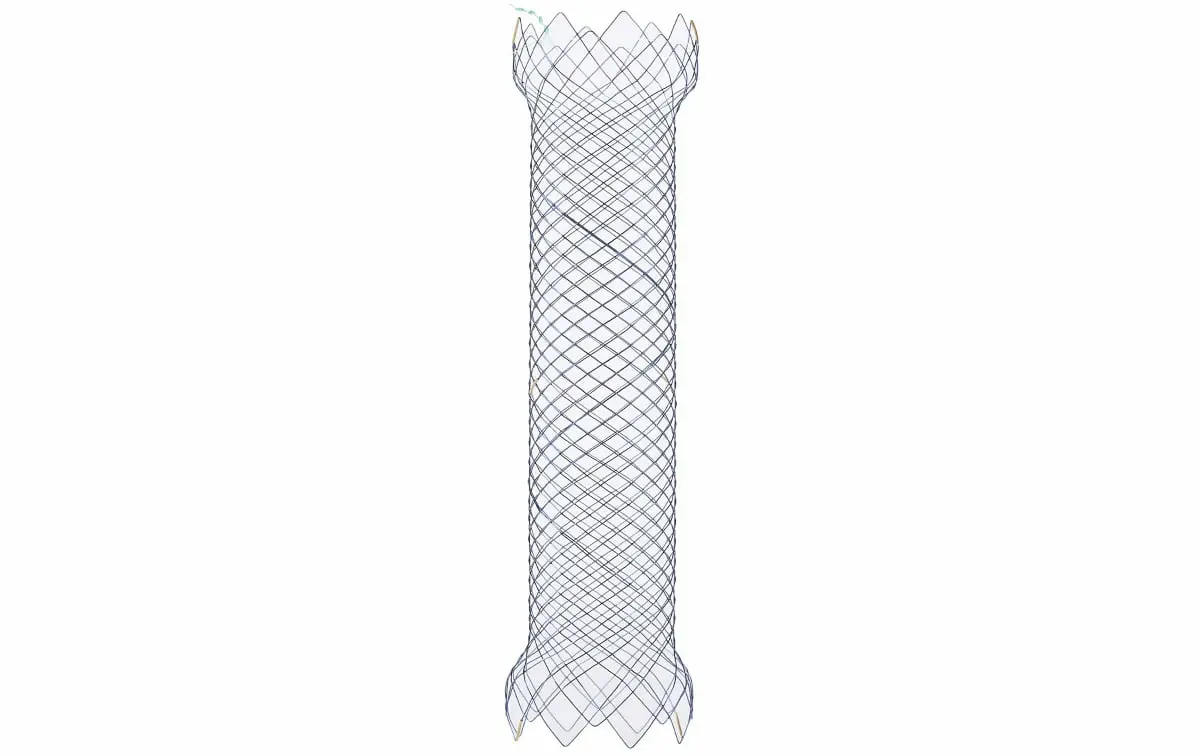 Colonic Stent