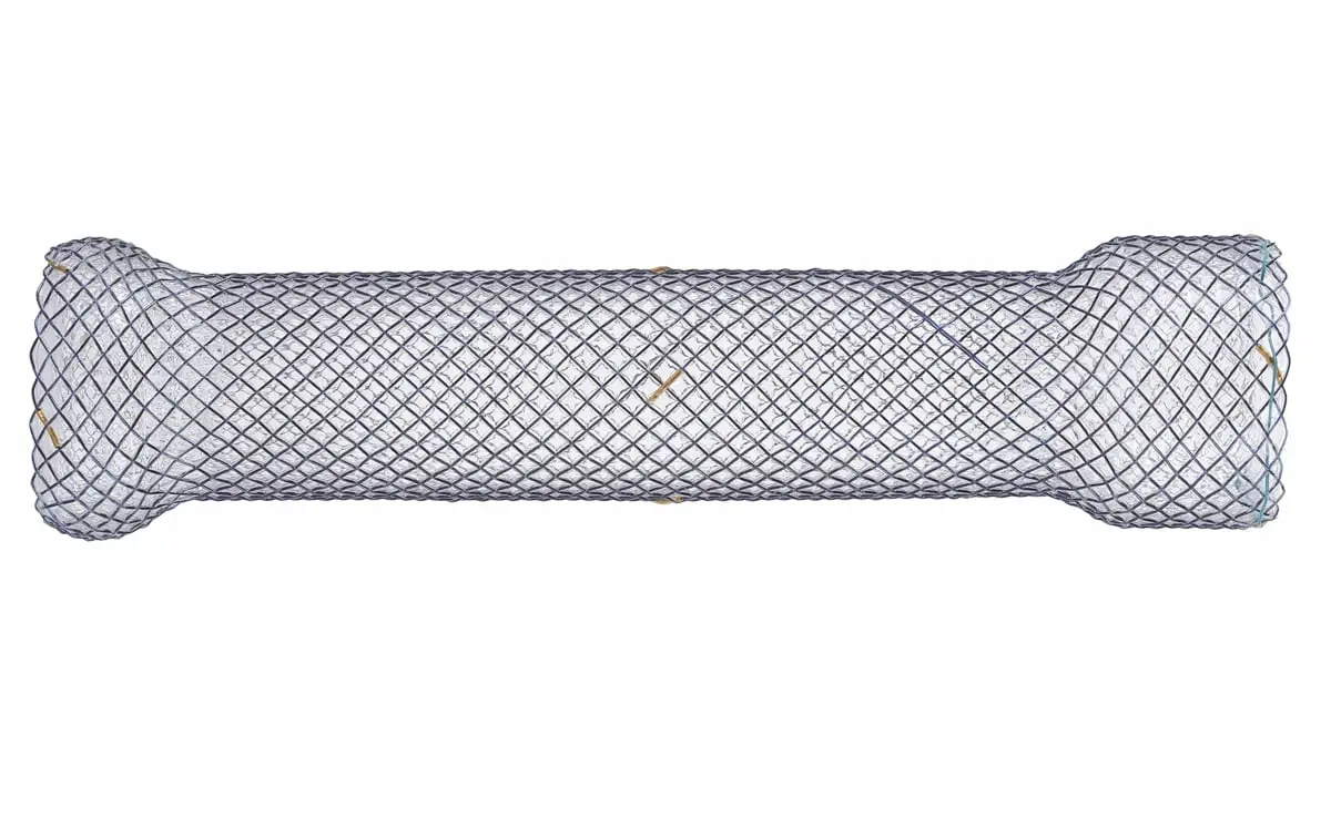 Oesophageal Stent